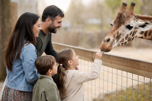 Parcs animaliers : comment en profiter pleinement avec des enfants