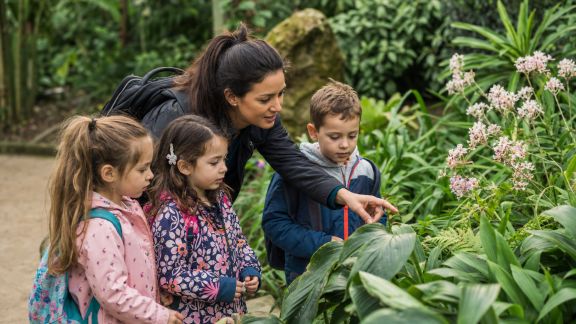 Explorer les jardins botaniques avec des enfants : parcours ludiques et découvertes